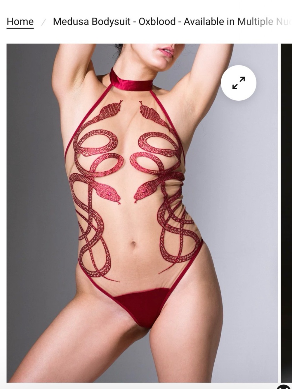 Thistle and Spire Medusa Snake Embroidery Bodysuit - Oxblood